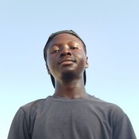 Influencer Profile